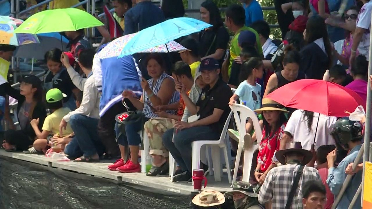 Büffel donnern bei traditionellem rennen in thailand durch den schlamm