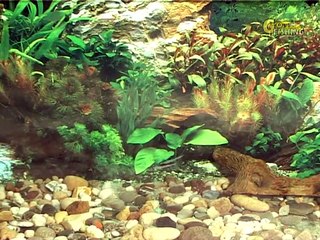 36. Братья Щербаковы - Зимой на вертикалку