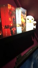 Leeds mum creates magical movie room for Harry Potter mad daughter