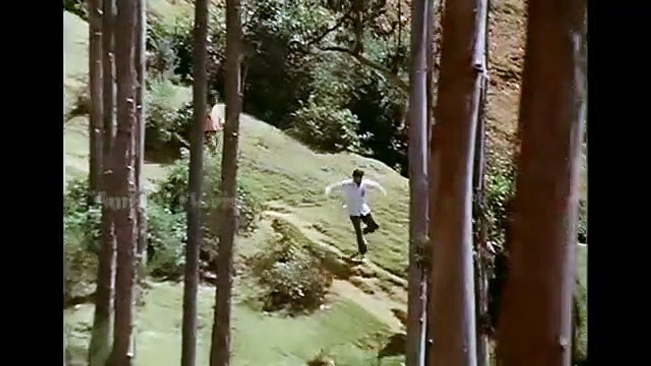 Thambigala HD Video Song  Vaaname Ellai1992