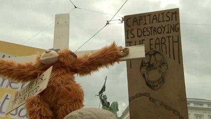 Extinction Rebellion activists call on Belgian king to declare climate emergency