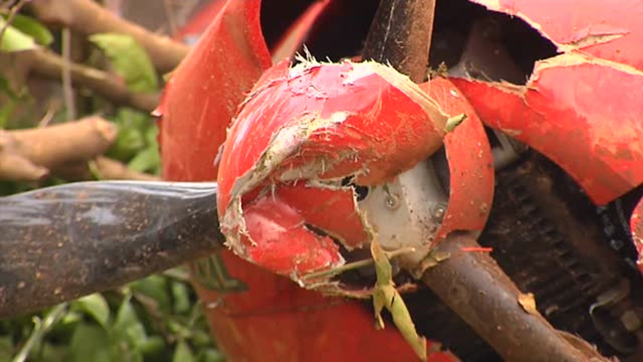 Una avioneta se estrella contra un campo de naranjos y deja dos heridos en Valencia
