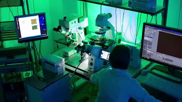 VIDEO: Así “nadan” pequeños robots a través de un globo ocular para administrar medicamentos