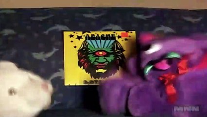 Wild Record Collection #11