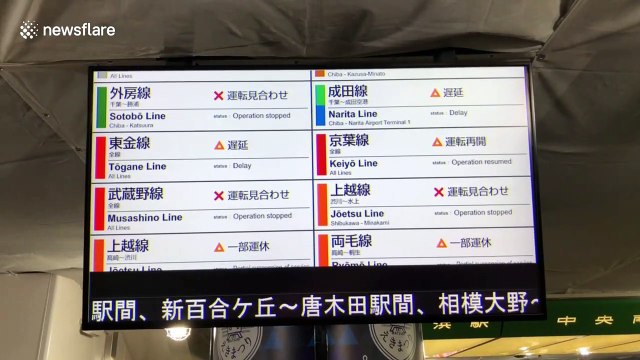 Typhoon Hagibis causes travel disruption around Tokyo