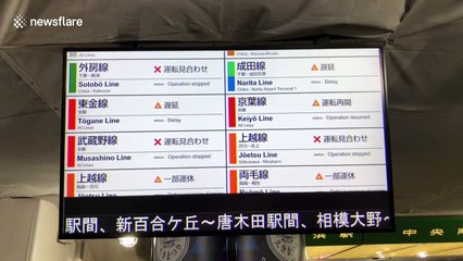 Typhoon Hagibis causes travel disruption around Tokyo