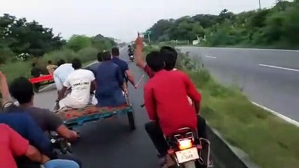 Bull Fighting to Bull Riding