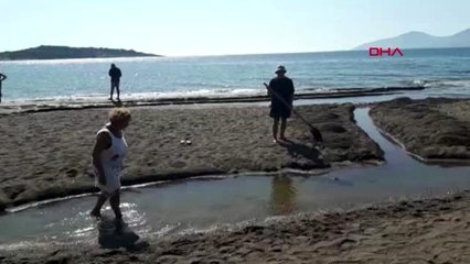 Muğla sahilde mahsur kalan yavru balıklar için seferberlik