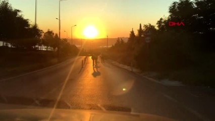 büyükçekmece'de patenli gençlerin tehlikeli yolculuğu