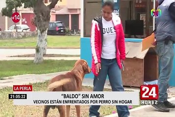 La Perla: vecinos enfrentados por perro sin hogar