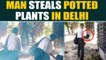 Old man caught on camera stealing potted plants in Delhi, video goes viral | OneIndia News