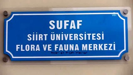 Bitki türleri kurutularak kayıt altına alınıyor