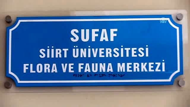 Bitki türleri kurutularak kayıt altına alınıyor