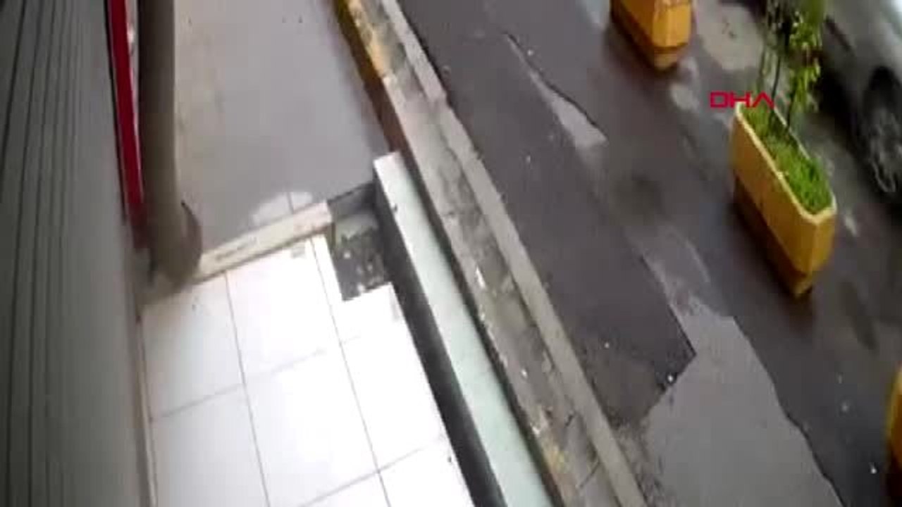 Başı kepenge sıkışan kedi diğer kedi sayesinde kurtarıldı... o anlar kamerada