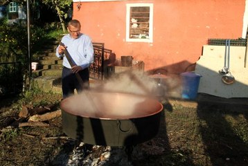 Rize'nin meşhur kokulu üzümü toplandı ve pekmez mesaisi başlandı