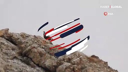 Çok nadir rastlanan ur kekliği görüntülendi