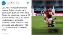 Coupe du monde de rugby. Le XV de France affrontera le Pays de Galles en quarts de finale