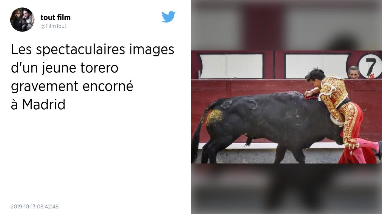 Un jeune torero grièvement blessé dans les arènes de Madrid