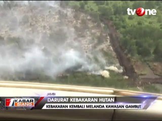 Kebakaran Kembali Landa Kawasan Gambut di Jambi