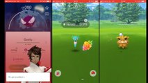 Pokémon GO fest Dortmund Gameplay | 20 shiny pokémon!!!