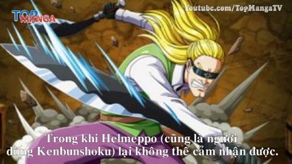 10 người dùng Haki quan sát mạnh nhất hiện nay