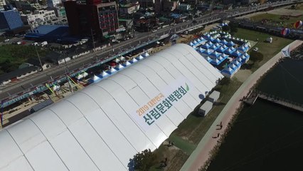 대한민국 산림문화의 모든 것 한자리에! / YTN