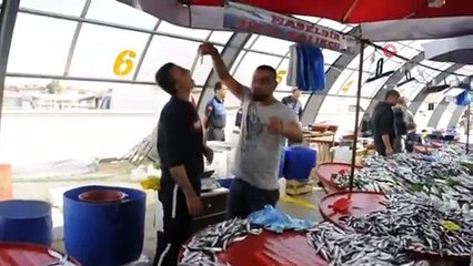Balığın Taze Olduğunu Göstermek İçin Çiğ Çiğ Yedi