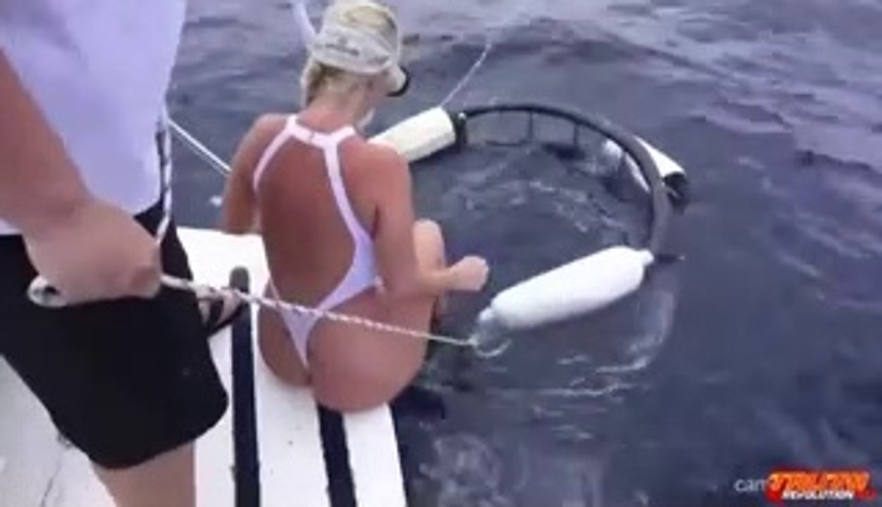 Requin à la chasse 2019 Attaque de requin filmée à la grande attaque de requin blanc