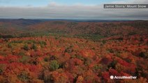 These stunning images of fall foliage is the reason people fall in love with this season