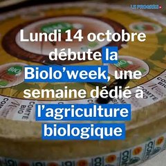 Comté bio: l'exemple de la fruitière de Saint-Maurice-Crillat