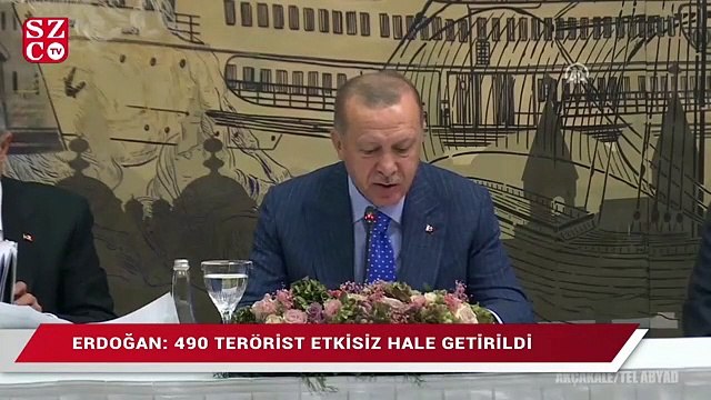 Erdoğan: 490 terörist etkisiz hale getirildi