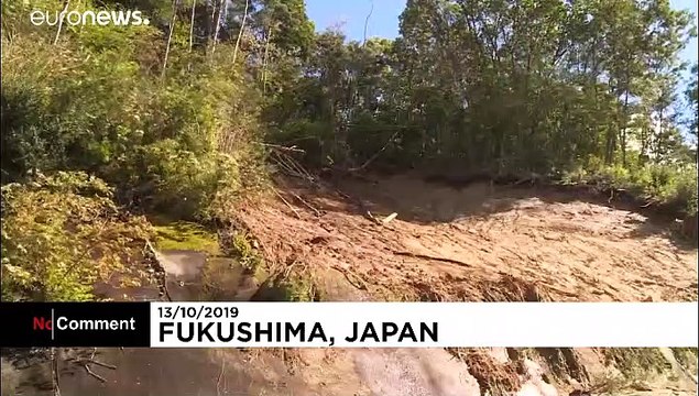 Japonya'yı vuran Hagibis Tayfunu'nda bilanço ağırlaşıyor