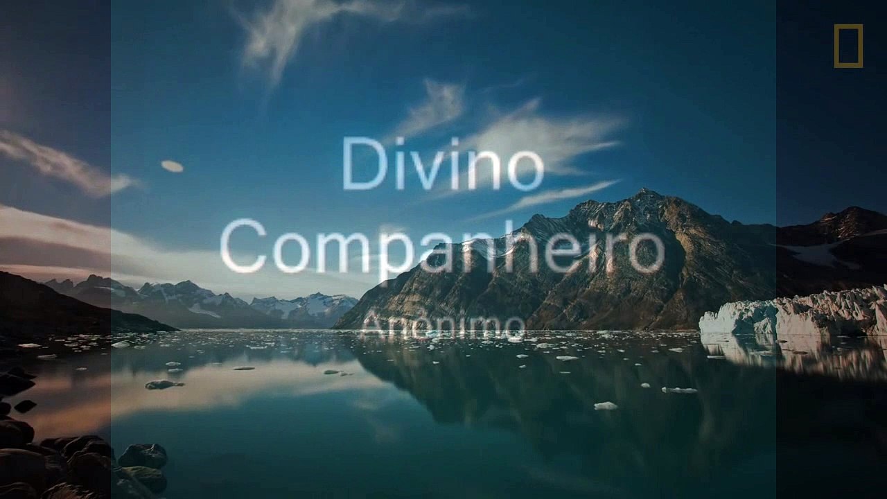 Divino companheiro Playback (Legendado)