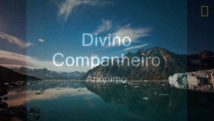 Divino companheiro Playback (Legendado)