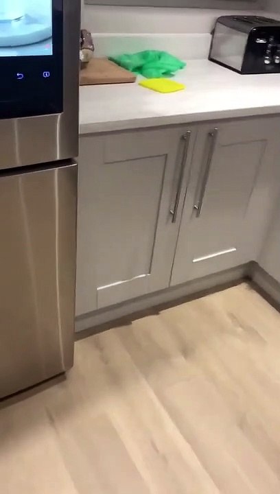 Son chat ouvre les placards dans la cuisine pour manger !