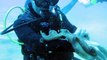Ce poulpe adorable joue avec un plongeur