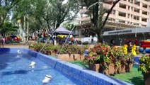 Sol e calor: atividades recreativas são oferecidas gratuitamente na Avenida Brasil