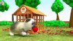 Aprenda los colores de dibujos animados Gorila Leche Biberón Cachorro Dibujos animados aprendiendo video 3D para niños
