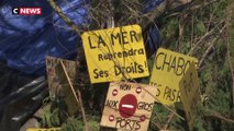 Une ZAD contre un nouveau port de plaisance en Vendée