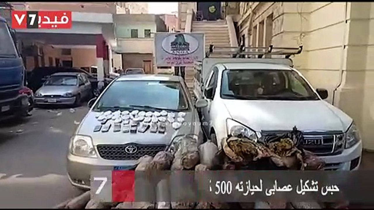 حبس تشكيل عصابى لحيازته 500 كيلو بانجو و5 كيلو حشيش بالدقهلية