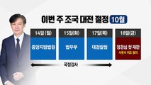 이번주 '조국 대전' 절정...檢, 정경심 영장 고심에 고심 / YTN
