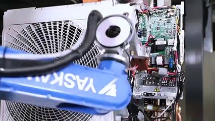 12 Trabajadores con Manos de Oro