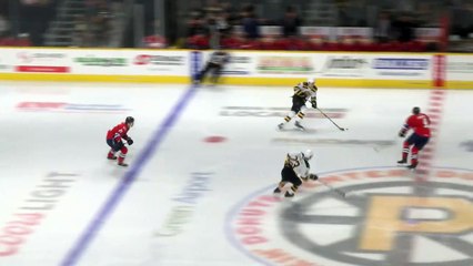 AHL Springfield Thunderbirds 5 at Providence Bruins 2