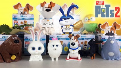 Secret Life of Pets 2 - Max Gets Some RADZ Candies + Surprises