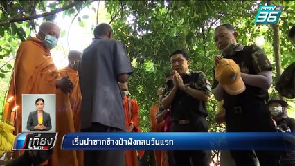 เริ่มนำซากช้างป่าเขาใหญ่ฝังกลบวันแรก | เที่ยงทันข่าว