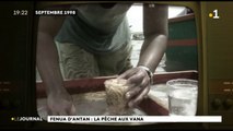 Tahiti d’antan : la pêche aux oursins
