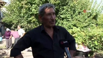 Köylerde şifa kaynağı 'Pekmez' mesaisi