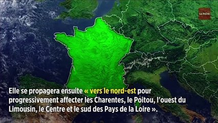 Météo : des orages attendus, 42 départements en vigilance orange