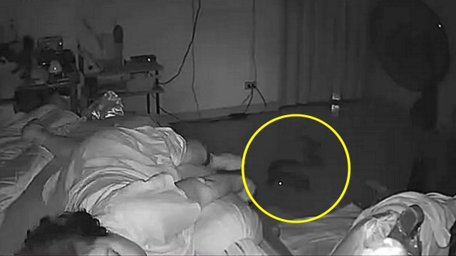 Un serpent s'introduit dans la chambre d'une dame de 75 ans et lui mord le pied