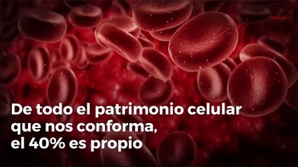 ¿Qué proporción forman los microbios en nuestro cuerpo?